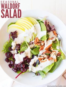 Classic white serving bowl filled with green leaf lettuce, garnished with sliced Granny Smith apples, dried cranberries, pecans and dressed with Ranch dressing. Text overlay Seasonal Waldorf Salad.