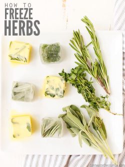 Frozen herbs in cubes of olive oil and butter with fresh herbs laying on a cutting board. Text overlay says, "How to Freeze Herbs".