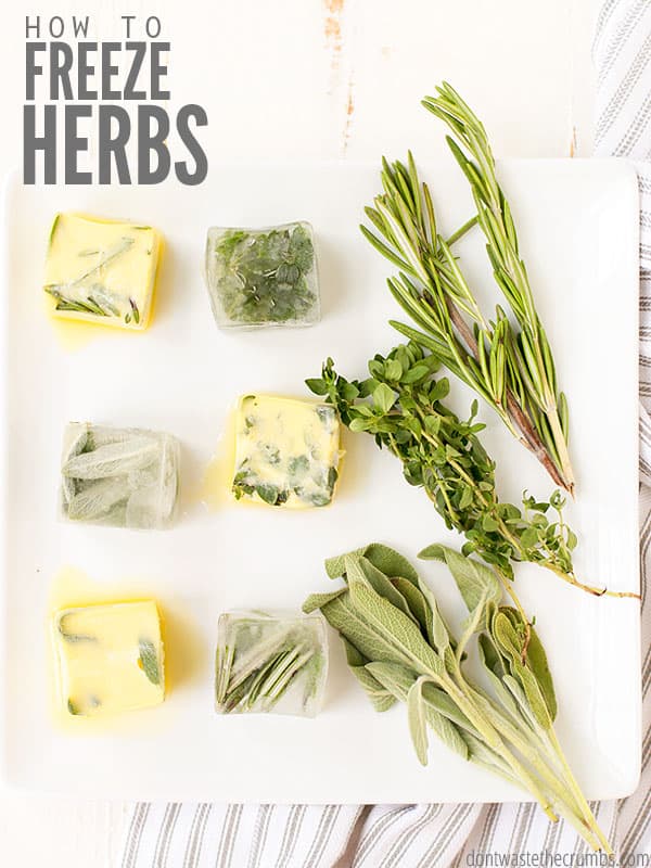 Frozen herb cubes in olive oil and butter with fresh herbs laying on a cutting board. Text overlay says, "How to Freeze Herbs".