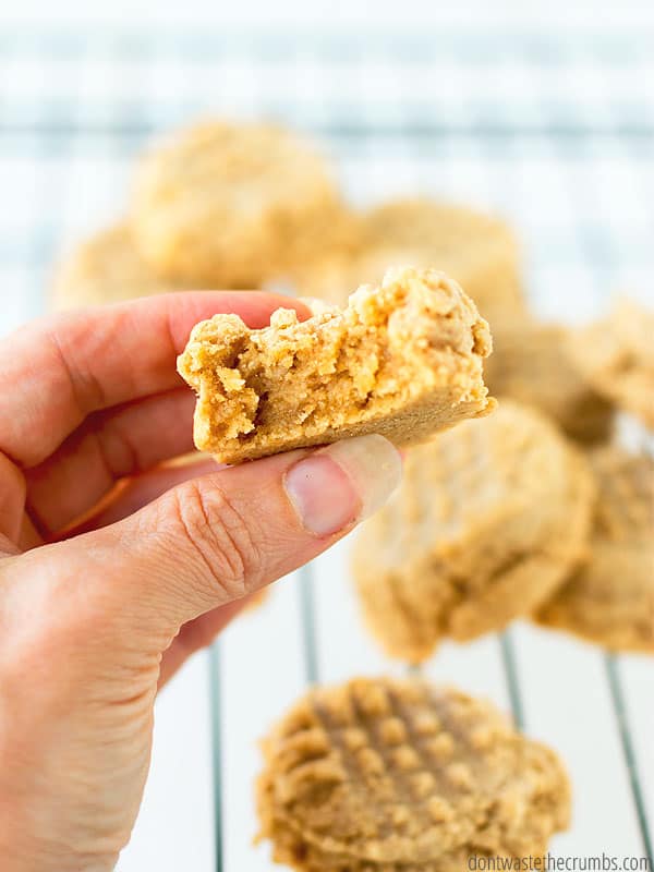 Healthy and delicious low sugar cookies laid out in the background. With a hand holding a cookie with a single bite out of it in the foreground.