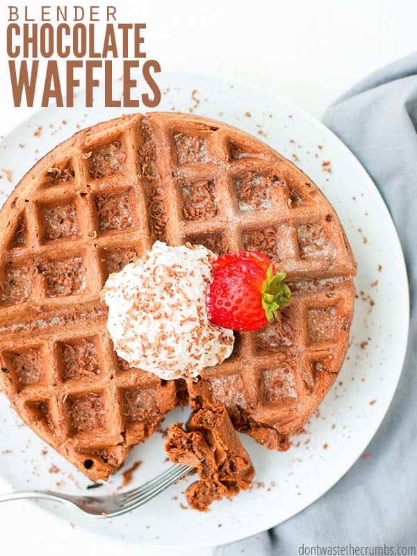 Double Chocolate Blender Waffles