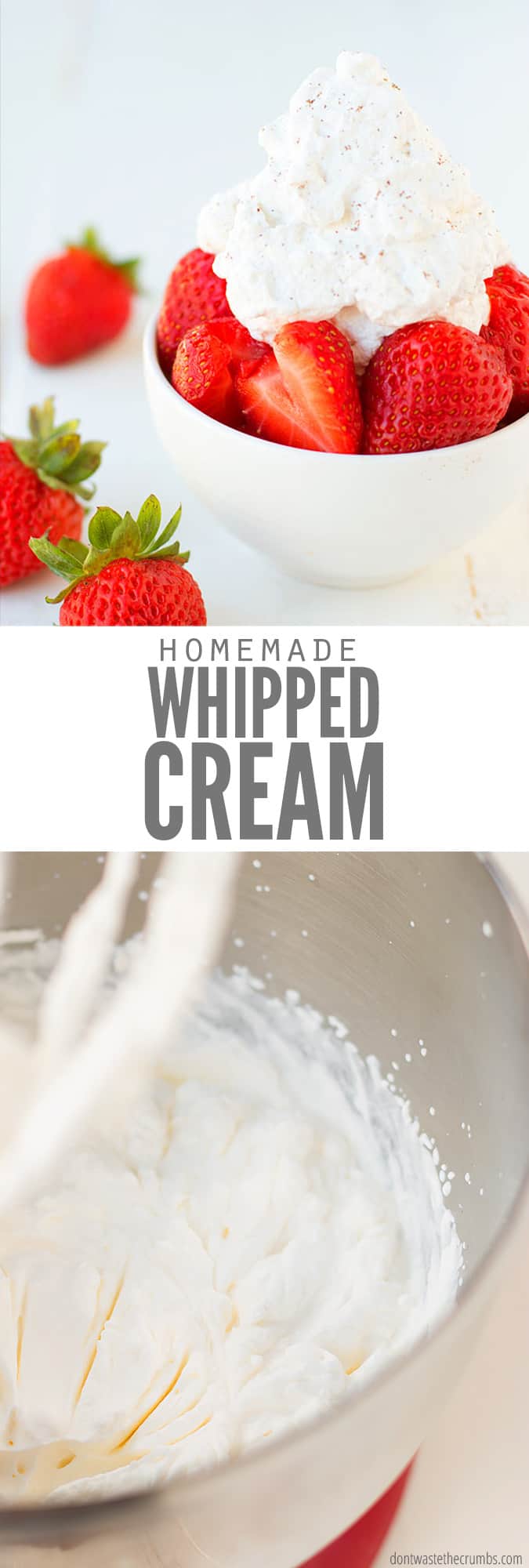 homemade whipped cream recipe without heavy cream
