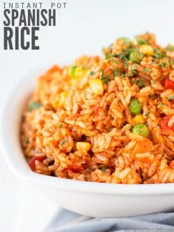 My family LOVES this Instant Pot Spanish Rice recipe with beans or ground beef on Mexican night - the seasoning makes it taste so authentic - without Rotel! : : DontWasteTheCrumbs.com