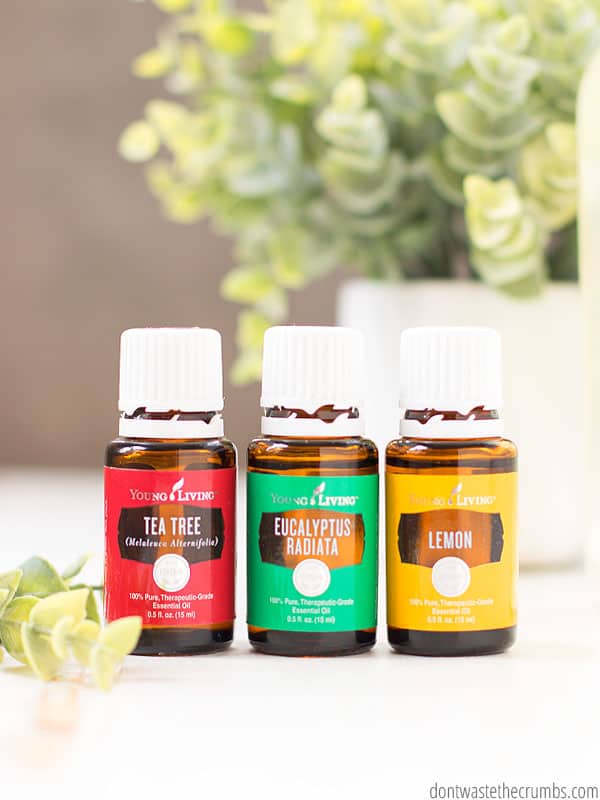 Tea tree and eucalyptus and lemon are some of the few essential oils that you can use for mold.