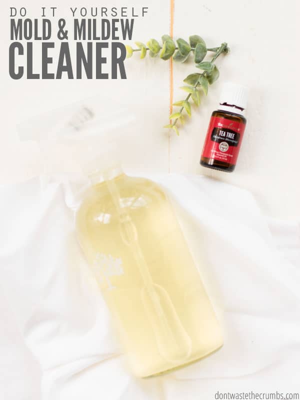 Homemade Anti Mold Spray & Bathroom Cleaner