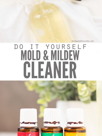 anti-mold spray with essential oils