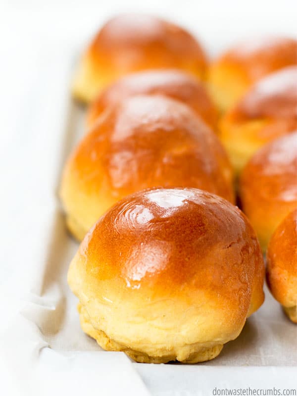 Fluffy cloud dinner rolls, topped with butter, in nice rows, on top of a baking sheet covered with parchment paper.