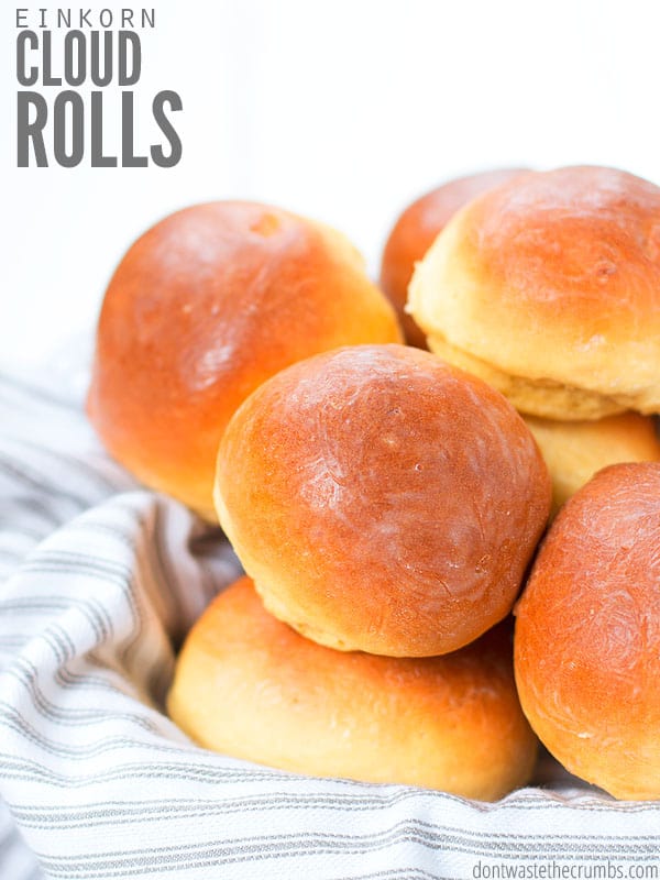 Fluffy cloud dinner rolls, topped with butter, in a pile, on top of a towel. Text overlay says, "Einkorn Cloud Rolls."