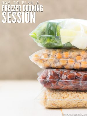One Hour Freezer Cooking Session: Dump Dinner Recipes