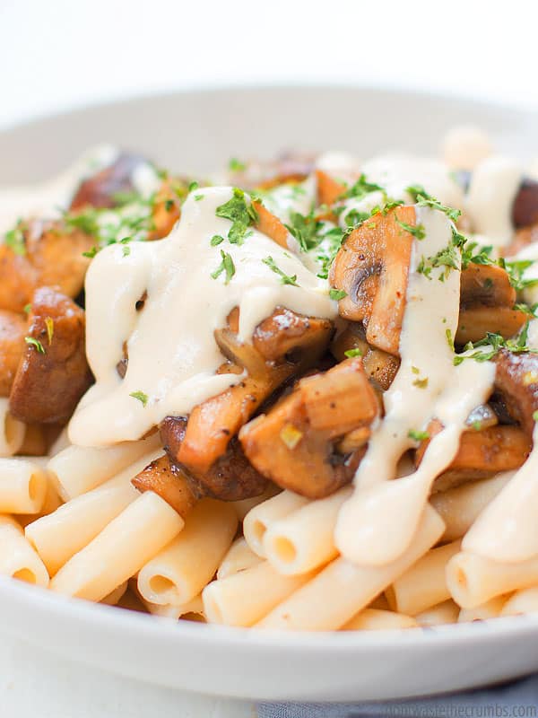 Creamy mushroom pasta on a plate.