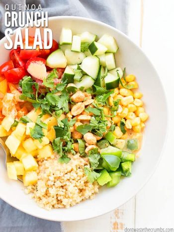 This easy crunchy quinoa salad recipe is vegan, but you can add feta or chicken, or even cranberries or avocado! Serve warm or cold with thai peanut sauce. :: DontWastetheCrumbs.com