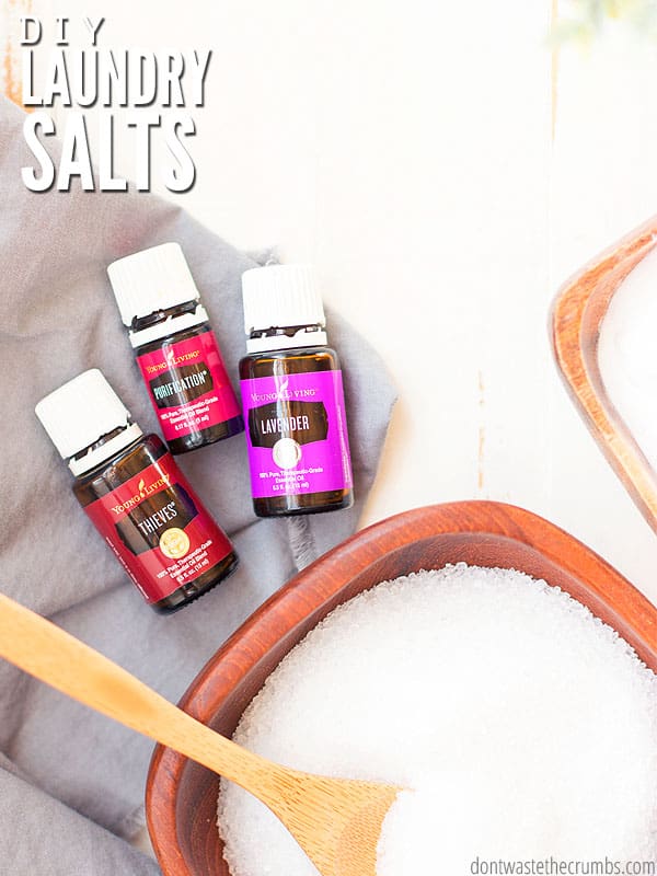 https://dontwastethecrumbs.com/wp-content/uploads/2019/03/DIY-Laundry-Salts-Cover.jpg