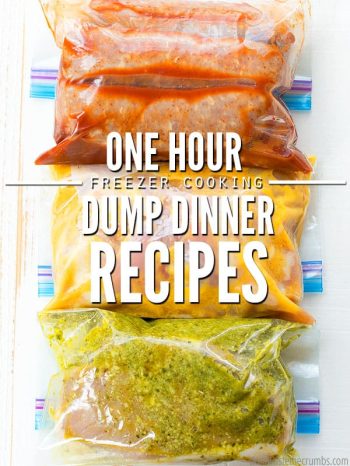 Having a stash of dump dinner recipes in my freezer is totally rocking my world. Here's a plan to get seven dump dinners in the freezer in just one hour!