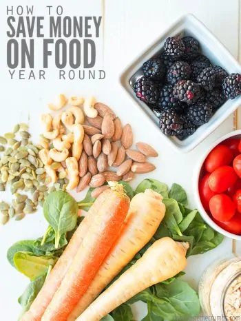 36 ways to save money on food to help slash your food bill and groceries. The best way to save money on real food all year round! : : DontWasteTheCrumbs