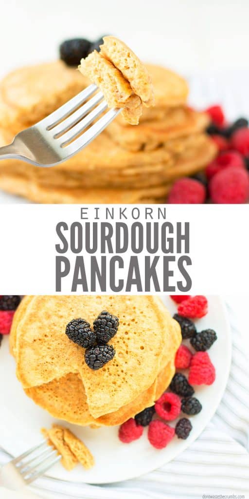 sourdough pancakes recipe with gluten free flour einkorn flour