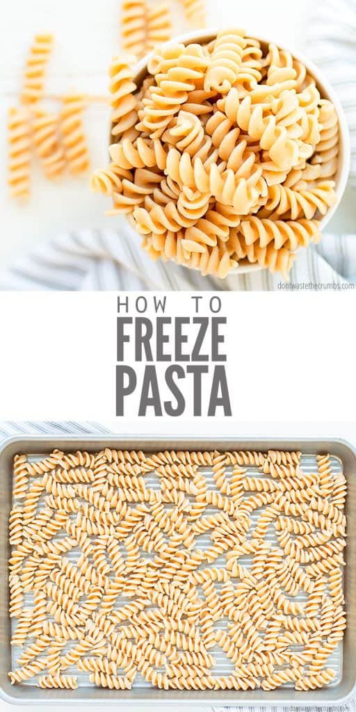 Did you know you can freeze cooked pasta? Easy tutorial showing how to freeze spaghetti, shells, & all types of noodles – with or without sauce.