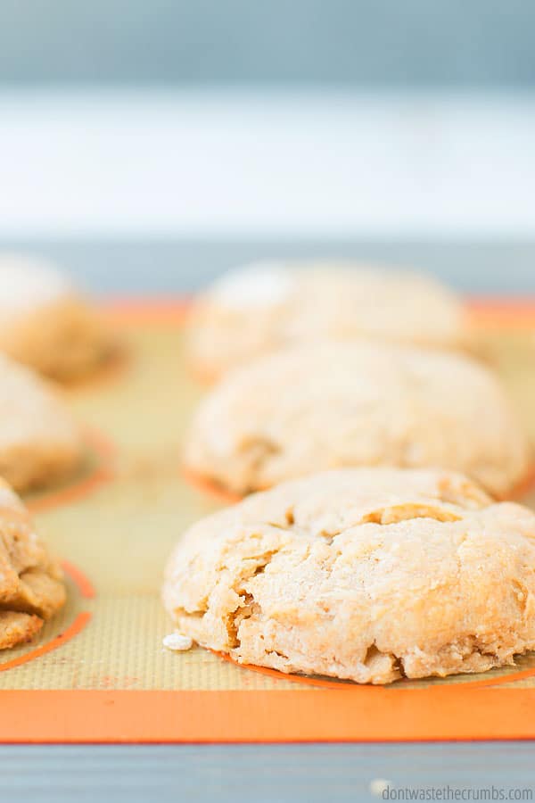 Sourdough starter biscuits on a baking sheet.