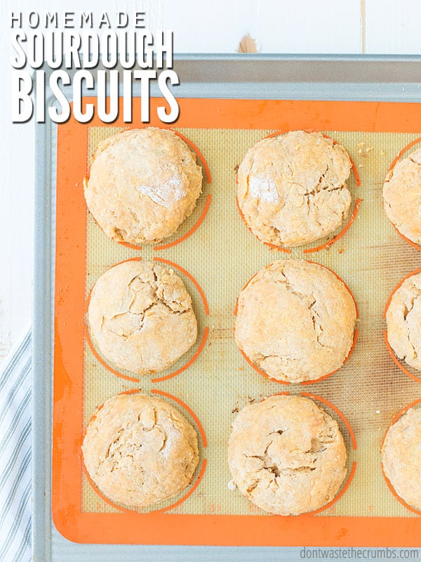 Sourdough biscuits on a Silpat mat on a baking sheet. Text overlay says, "Homemade Sourdough Biscuits".