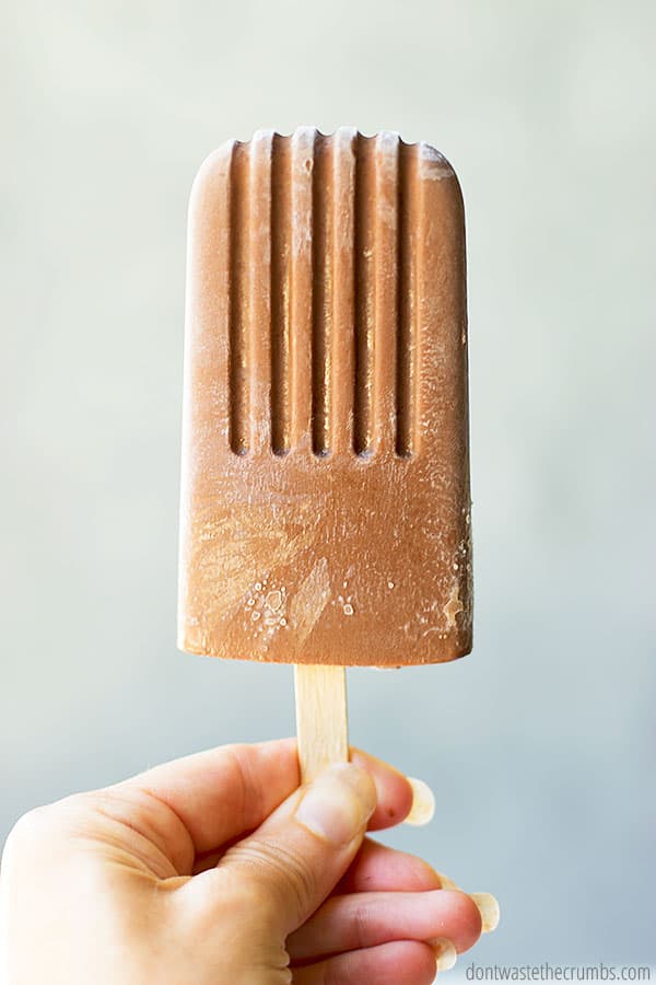 A hand holds a single fudgesicle in front of a gray background