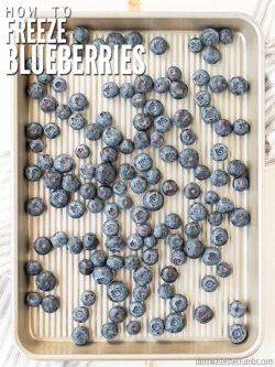Learn how to freeze blueberries, the right way, so they don't get mushy! Plus tips to thaw. It works for strawberries and blackberries too, without sugar! :: DontWastetheCrumbs.com