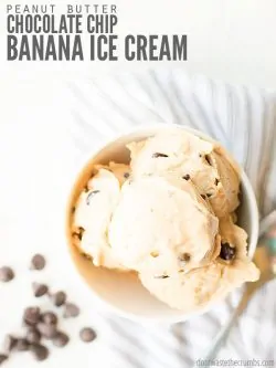 My homemade peanut butter chocolate chip banana ice cream recipe uses just one main ingredient and you don't need an ice cream maker - just a food processor or a blender! :: DontWastetheCrumbs.com