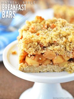 This easy recipe for soft baked oatmeal apple breakfast bars is naturally sweetened & healthy for you! Vegan, gluten-free and dairy-free options too. :: DontWastetheCrumbs.com