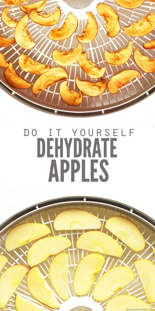 Easy tutorial for making dried apples in the oven, dehydrator, and air fryer! They’re a fun, healthy snack that’s crispy, slightly sweet, and impossible to resist!