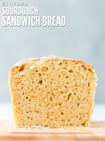 This easy, no knead sourdough bread recipe makes the perfect sandwich loaf and has a soft crust! Made with healthy multigrain einkorn flour. :: DontWastetheCrumbs.com