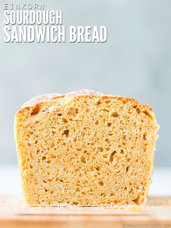 Batter Bread - The EASIEST No Knead Bread You'll Ever Make in 90