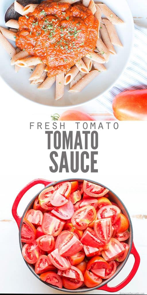 Homemade Tomato Sauce Using Fresh Tomatoes