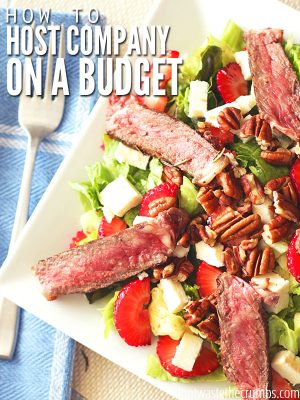 Simple and practical tips for hosting company on a budget and ideas for feeding them well without going broke or sacrificing quality. :: DontWastetheCrumbs.com
