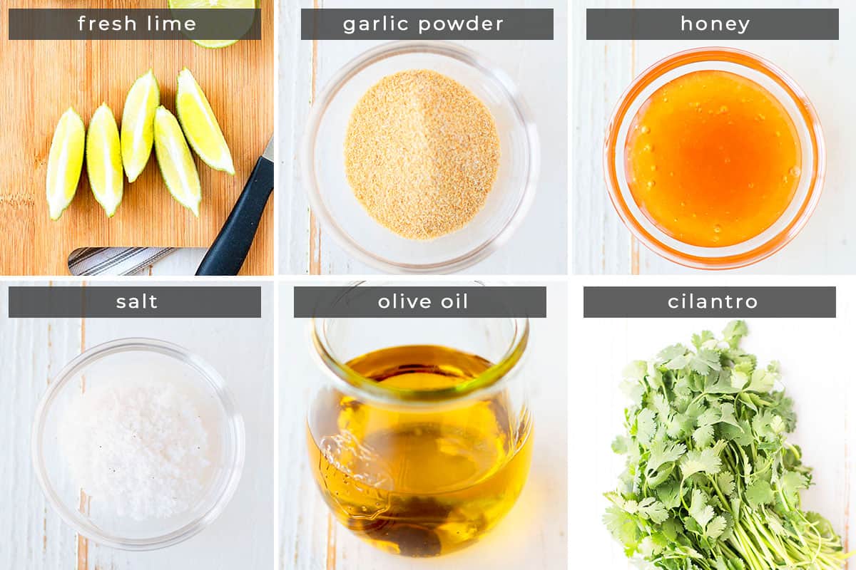Image containing recipe ingredients: fresh lime, garlic powder, honey, salt, olive oil, cilantro.