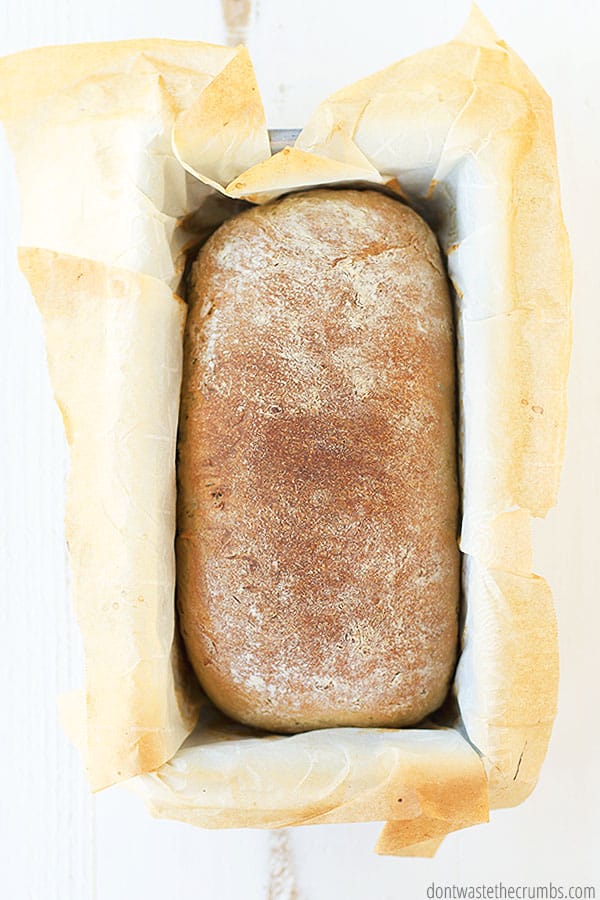 This rosemary olive oil bread is ready and fresh out of the oven. It is in a loaf pan with parchment paper.
