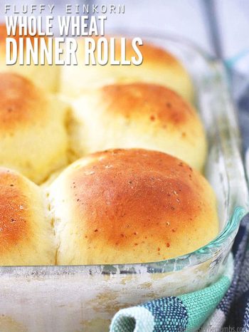 Perfect for Thanksgiving, these light and fluffy homemade dinner rolls are so much better than store-bought Hawaiian rolls! You'll be making these easy yeast rolls all year! :: DontWastetheCrumbs.com