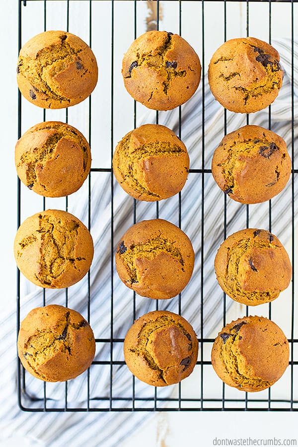 These pumpkin muffins can be made by hand or with a stand mixer. Add a cream cheese frosting if you so please!