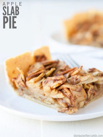 Easy apple slab pie recipe that is versatile, make-ahead, and makes over 20 servings in a 9"x13" pan! Use buttery homemade pie crust and a cinnamon topping. :: DontWastetheCrumbs.com