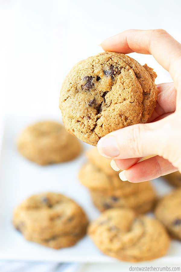 A hand holding a healthy chocolate chip cookie, with several more on a plate out of focus in the background