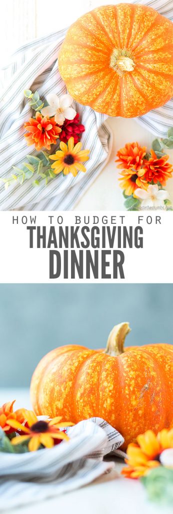 Thanksgiving Dinner on a Budget