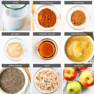 Image showing recipe ingredients milk, cinnamon, nutmeg, ginger, maple syrup, applesauce, chia seeds, oats, and apples.