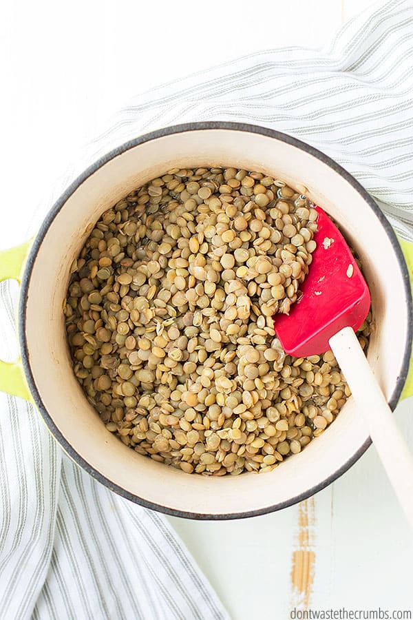 Wondering what goes with lentils? You can serve them in so many ways! Mix with ground beef to stretch your meat, serve with rice and chicken, top salads with lentils, serve with baked potato - the possibilities are plenty!