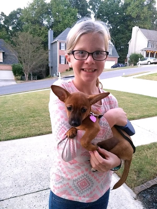 The girl and her adorable new puppy Chihuahua, Cammi! 