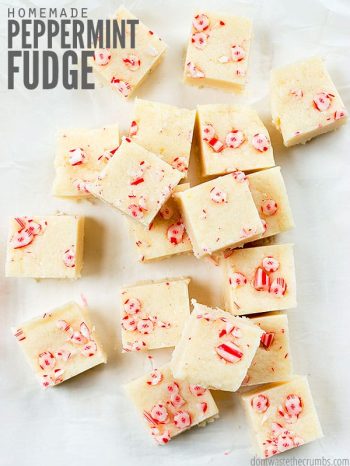 This 4-ingredient White Chocolate Peppermint Fudge recipe is a perfect winter treat! It's dairy-free, gluten-free, & tastes better than old fashioned fudge. :: DontWastetheCrumbs.com
