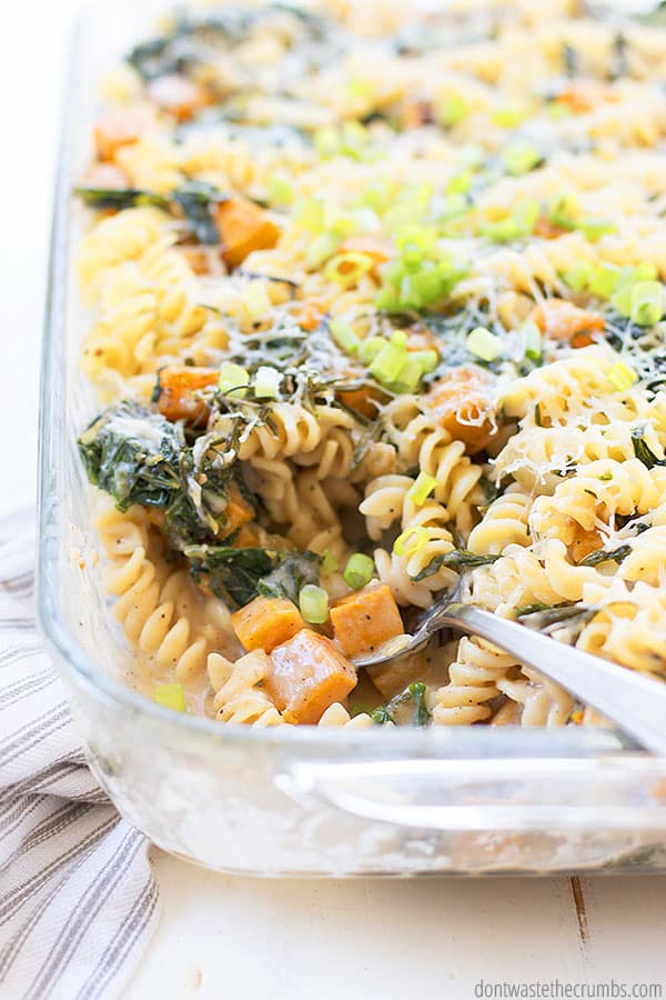 Butternut squash pasta bake is an amazingly delicious casserole, kids and moms love it!