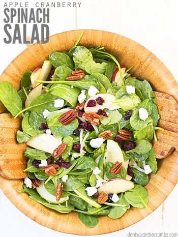 This healthy & versatile spinach salad is one of my favorite salad recipes for winter/fall! Top with fresh apples, homemade dressing, cranberries, & more! :: DontWastetheCrumbs.com