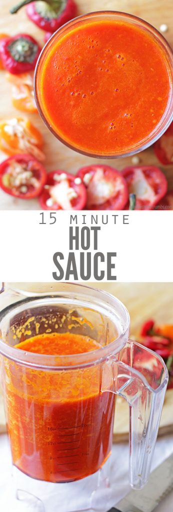 A Homemade hot sauce recipe that tastes just like Frank's hot sauce! Ready in 15 minutes and can be tailored to mild, medium or hot - however you want! #dontwastecrumbs.com