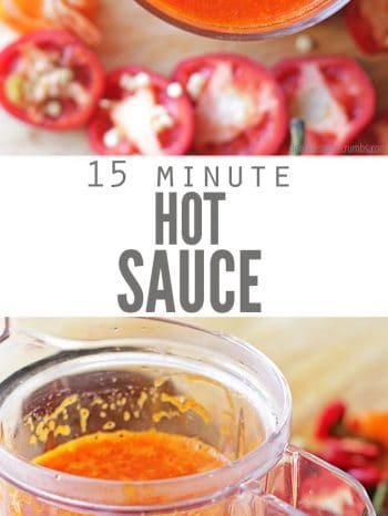 15 Minute Homemade Hot Sauce | Don't