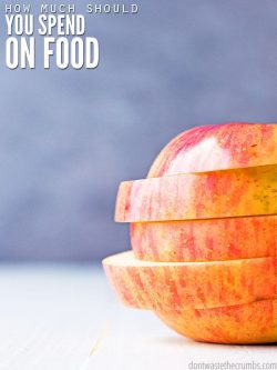 I've wondered how much I should spend on food, especially when I look at other people's budgets. This post was so helpful to help me see where my own family should be, instead of comparing to everyone else. My favorite was seeing what I should NOT use to determine how much I spend on food! :: DontWastetheCrumbs.com