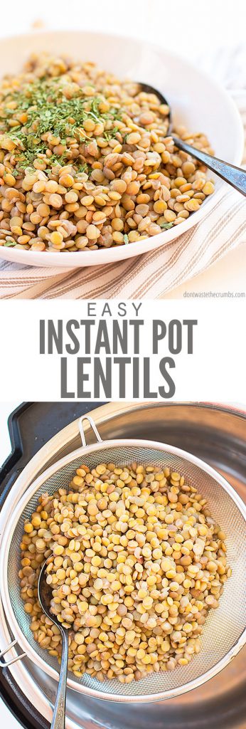 Instant Pot Lentils