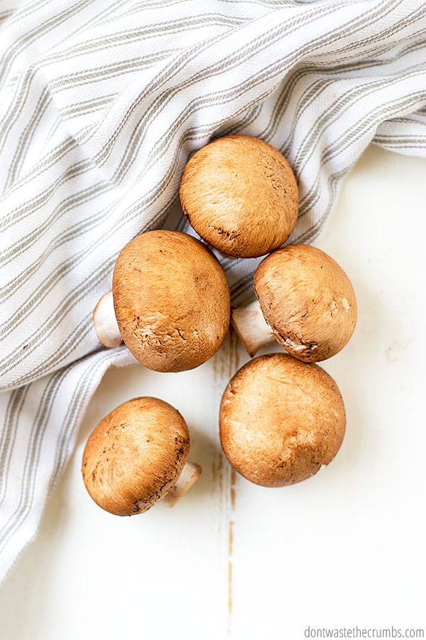 It's mushroom season again! Use this time to find the "fancy" mushrooms at your local markets!