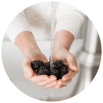 hands holding berries under running water